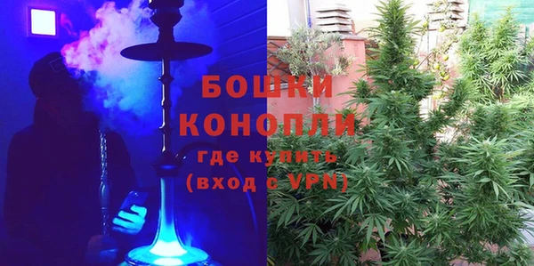СК Заводоуковск