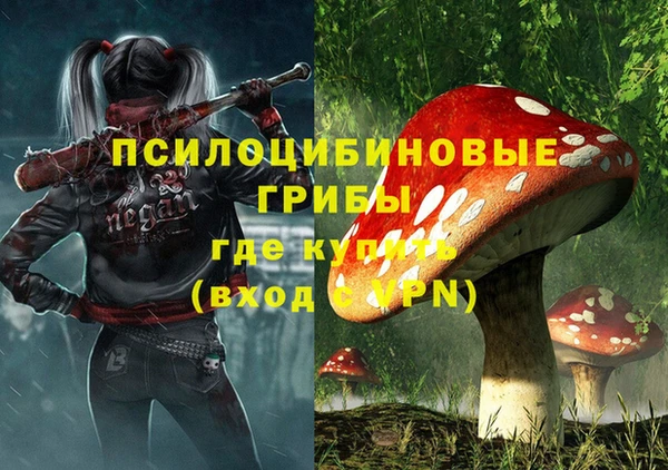 СК Заводоуковск