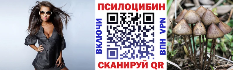 Псилоцибиновые грибы Psilocybine cubensis  Купить где  Котельники 